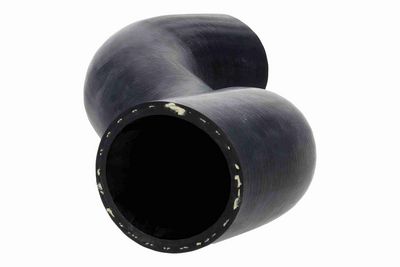 FURTUN EAR SUPRAALIMENTARE ACKOJA A370122 5