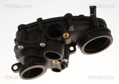 Termostat, płyn chłodzący TRISCAN 862060387