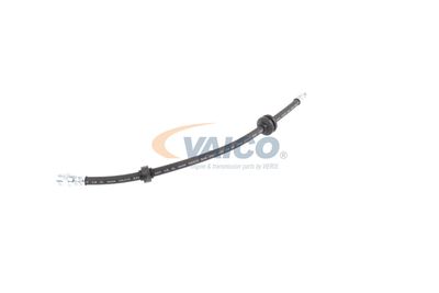 FURTUN FRANA VAICO V240328 21