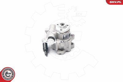 Hydraulic Pump, steering 10SKV016