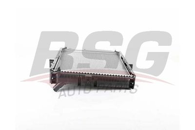 BSG BSG 40-520-059 Крышка радиатора  для KIA K2500 (Киа K2500)