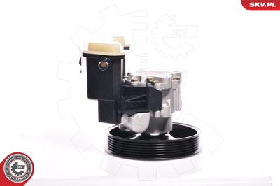 Hydraulic Pump, steering 10SKV020