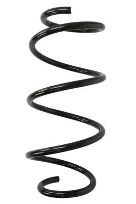 Spiraalveer Voor Links/Rechts past: RENAULT CLIO III 1.5D/1.6/2.0 05.05-12.14