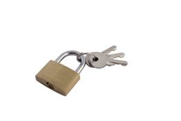 Laser Tools Brass Padlock 30mm