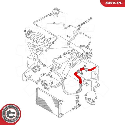 Hadice chladiče SKV 43SKV616