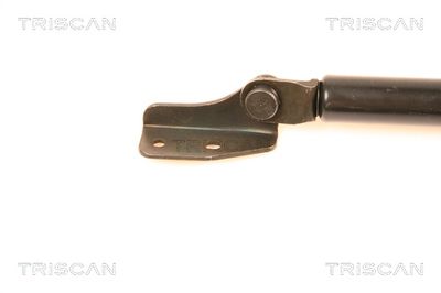 AMORTIZOR PORTBAGAJ TRISCAN 871050232 1