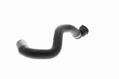 FURTUN RADIATOR VAICO V203872 4