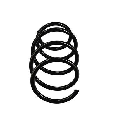 ARC SPIRAL EIBACH R11072 1