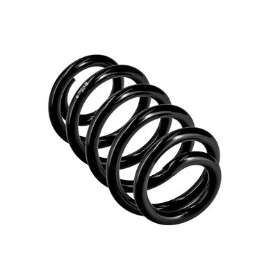 ARC SPIRAL EIBACH R10664 11