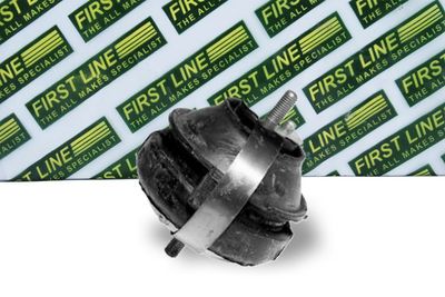 окачване, двигател FIRST LINE FEM3451