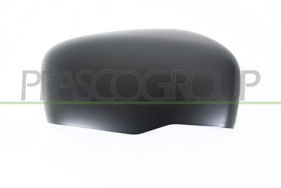 ACOPERIRE OGLINDA EXTERIOARA