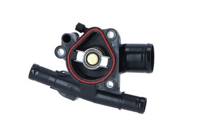 TERMOSTAT LICHID RACIRE NRF 725045 9