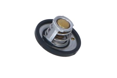 TERMOSTAT LICHID RACIRE NRF 725187 33
