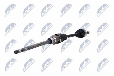 PLANETARA NTY NPWCT183 3