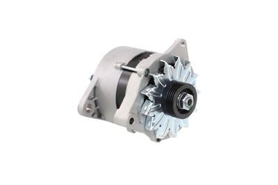 GENERATOR / ALTERNATOR REMANTE 011003000065R 54