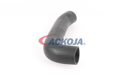 FURTUN EAR SUPRAALIMENTARE ACKOJA A379602 49