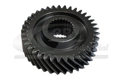 ROATA DINTATA ARBORE INTRARE CUTIE