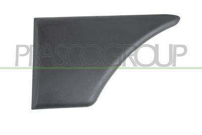 ZIER-/SCHUTZLEISTE KOTFLüGEL