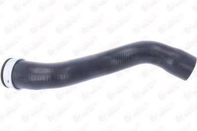 FURTUN EAR SUPRAALIMENTARE BIRTH 55714 6