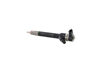 INJECTOR REMANTE 002003001160R 13