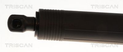 AMORTIZOR PORTBAGAJ TRISCAN 871029330 1