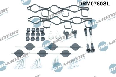 Sada na opravu, modul sacího potrubí LIZARTE DRM0780SL