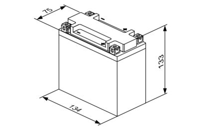 BOSCH Starterbatterie