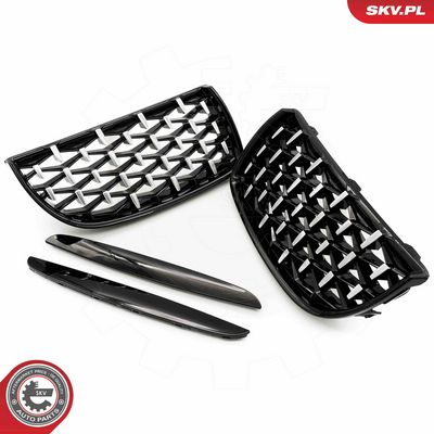 GRILA RADIATOR ESEN SKV 66SKV094 4