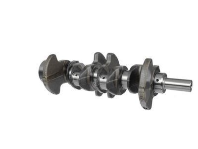 ARBORE COTIT ET ENGINETEAM HK0130 7