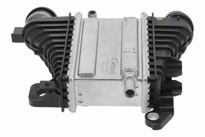 INTERCOOLER COMPRESOR VEMO V46600091 5