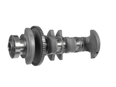 ARBORE COTIT ET ENGINETEAM HK0216 16