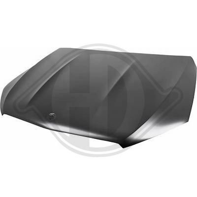 MOTORHAUBE DIEDERICHS 1693100