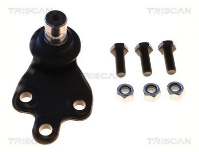 Шарнири TRISCAN 8500 165101