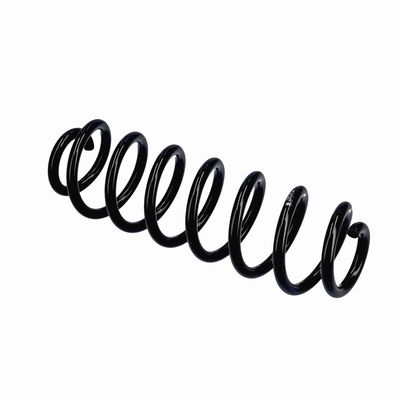 ARC SPIRAL EIBACH R21213 21