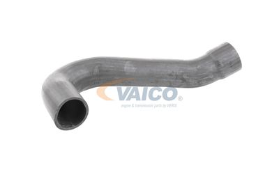 FURTUN EAR SUPRAALIMENTARE VAICO V301795 56