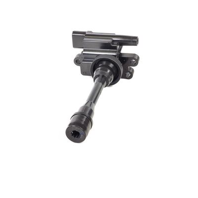 ZüNDSPULE DELPHI GN1019112B1 11