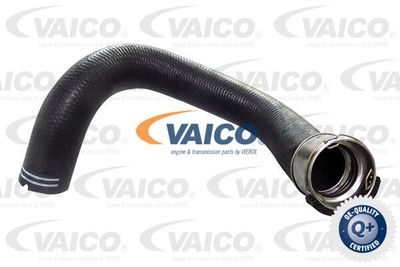 Трубка нагнетаемого воздуха VAICO V24-1290 для FIAT 500L