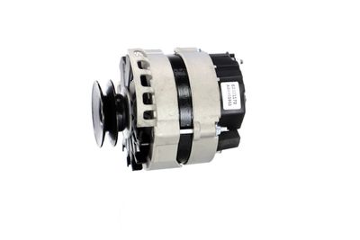 GENERATOR / ALTERNATOR REMANTE 011003000074R 14