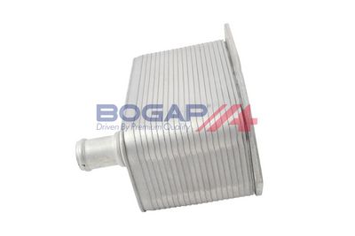 RADIATOR ULEI ULEI MOTOR BOGAP B4222132 3