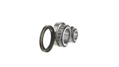 SET RULMENT ROATA SKF VKBA6686 24