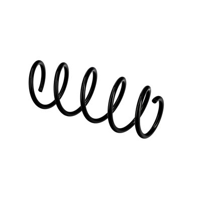 ARC SPIRAL EIBACH R10111 9