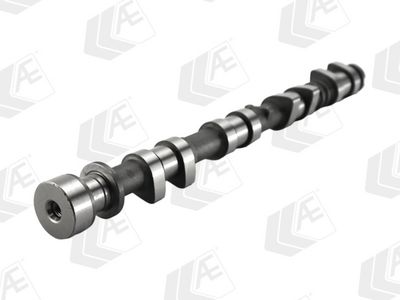 AX CU CAME AE CAM1079 2