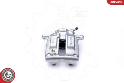 Brake Caliper 23SKV386