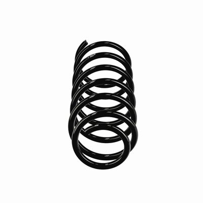 ARC SPIRAL EIBACH R10971 13