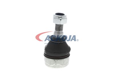 CAP DE BARA ACKOJA A379508 47