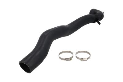 FURTUN EAR SUPRAALIMENTARE