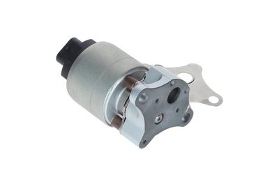 SUPAPA EGR KAMOKA 19001 3