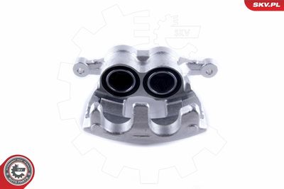 Brake Caliper 50SKV022