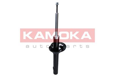 Shock Absorber 2000280