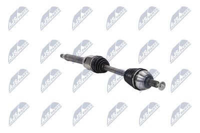 PLANETARA NTY NPWFR080 12